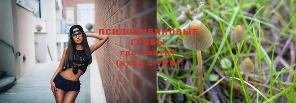 ALPHA-PVP Армянск