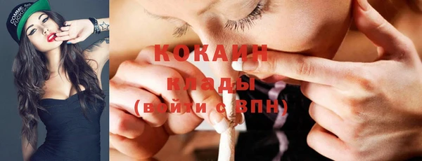 кокс Арсеньев