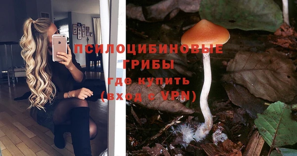 марки nbome Алзамай