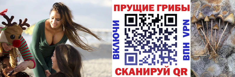гидра ТОР  хочу   shop как зайти  Галлюциногенные грибы MAGIC MUSHROOMS  Почеп 